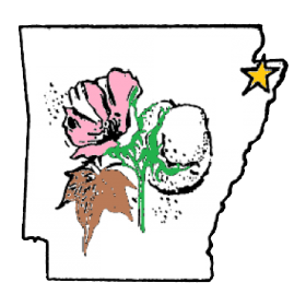 Town of Dell Arkansas - A Place to Call Home...